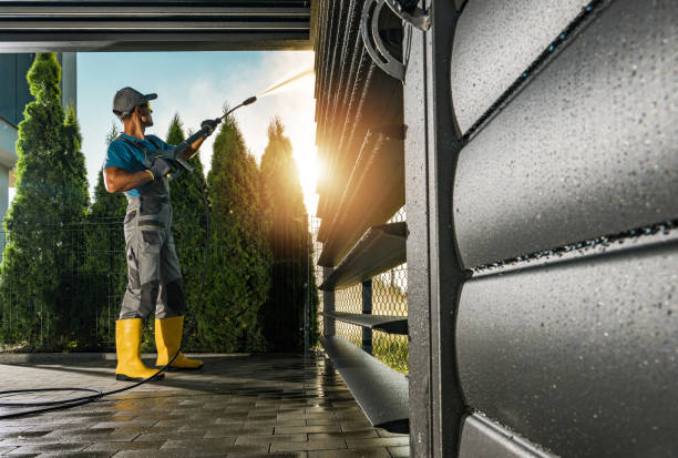 Animal Enclosure Cleaning in Mediapolis, IA